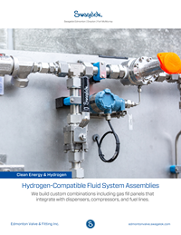 Hydrogen-Compatible Assemblies PDF cover