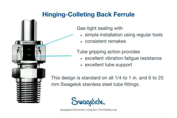 Hinging-Collecting Back Ferrule