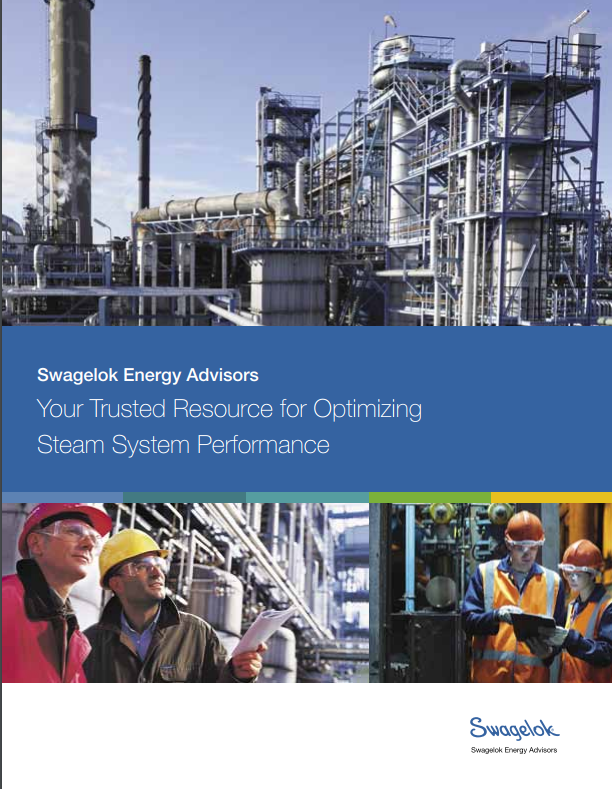 Swagelok Energy Advisors Brochure
